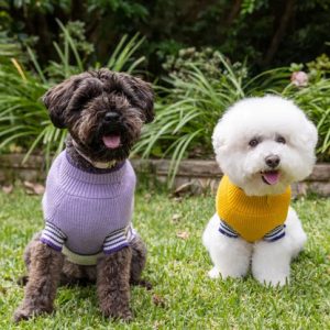 Stripey Joe Dog Jumper